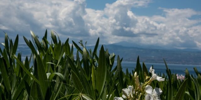 Τι καιρό θα κάνει την Τρίτη – Αναλυτική πρόγνωση