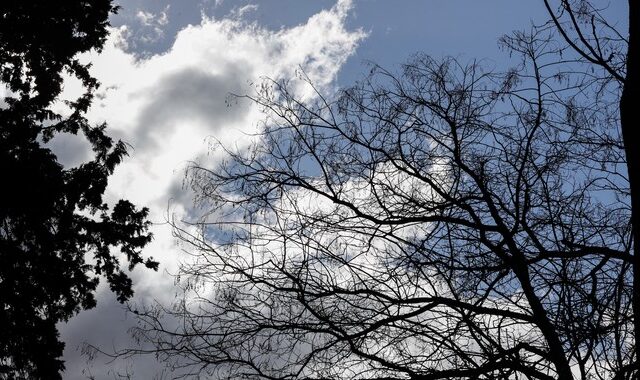 Καιρός: Αίθριος το επόμενο διήμερο – Βροχές από Τετάρτη