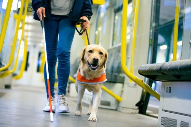 Η αισιόδοξη ιστορία μιας τυφλής γυναίκας με τον σκύλο – οδηγό της σε τρόλεϊ της Αθήνας