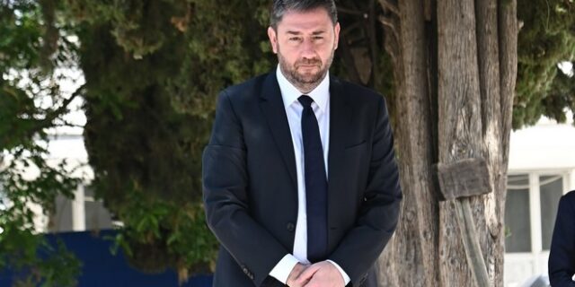 Νίκος Ανδρουλάκης: Άφησε ένα λευκό τριαντάφυλλο στον τάφο της Φώφης Γεννηματά