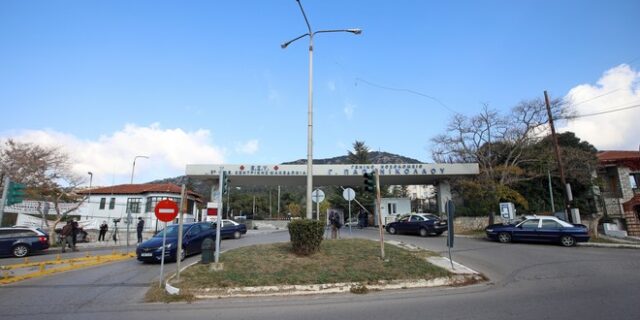 Θεσσαλονίκη: Διασωληνωμένη σε κρίσιμη κατάσταση η 39χρονη από το δάγκωμα της οχιάς