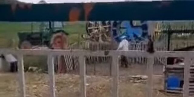 Εξοργιστικό βίντεο: Άνδρας πετάει νερό και χτυπάει με ξύλο τον σκύλο του