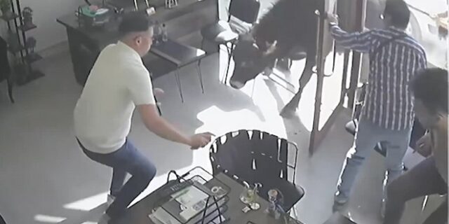 Τουρκία: Ταύρος ξέφυγε από σφαγείο και εισέβαλε σε κτηματομεσιτικό γραφείο