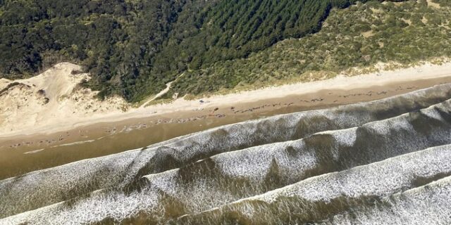 Αυστραλία: Λύθηκε γρίφος ναυαγίου μετά από μισό αιώνα