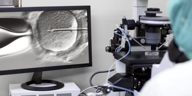 Παγκόσμια Ημέρα Γονιμότητας: Ημερίδα για τις προκλήσεις που αντιμετωπίζουν τα υπογόνιμα ζευγάρια