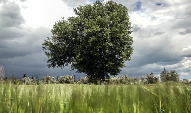 Καιρός: Τοπικές βροχές και καταιγίδες στα κεντρικά και βόρεια το επόμενο τριήμερο