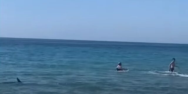 Σοκαριστικό βίντεο: Καρχαρίας σκόρπισε τον τρόμο σε παραλία στην Ισπανία