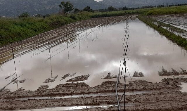 Κακοκαιρία – Κρήτη: Καταστροφές σε καλλιέργειες και πλημμύρες