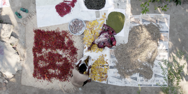 Έκθεση της ActionAid: Δεκαπλάσια άνοδος τιμών σε τρόφιμα και καύσιμα από την αρχή του πολέμου στην Ουκρανία για τις πιο περιθωριοποιημένες κοινότητες