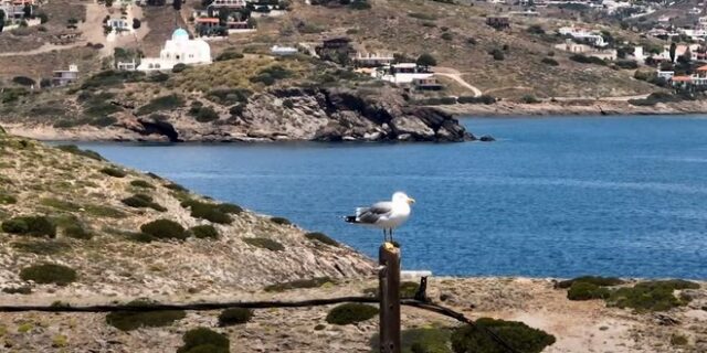 Βρυσάκι: Το εκπληκτικής ομορφιάς νοτιότερο άκρο της Αττικής