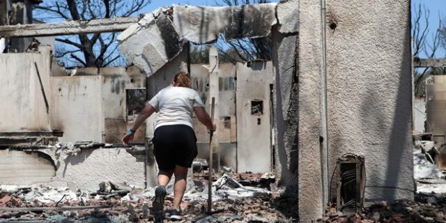 Φωτιές: Ξεκίνησαν οι καταγραφές των ζημιών – Αποκαρδιωτικές οι πρώτες ενδείξεις