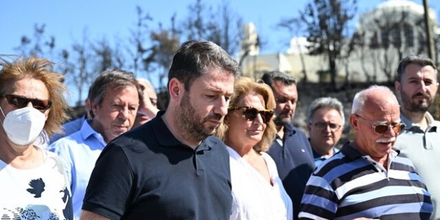 Ανδρουλάκης από Σαρωνικό: “Αντί η κυβέρνηση να χύνει κροκοδείλια δάκρυα, να ενισχύσει τους μηχανισμούς πρόληψης”