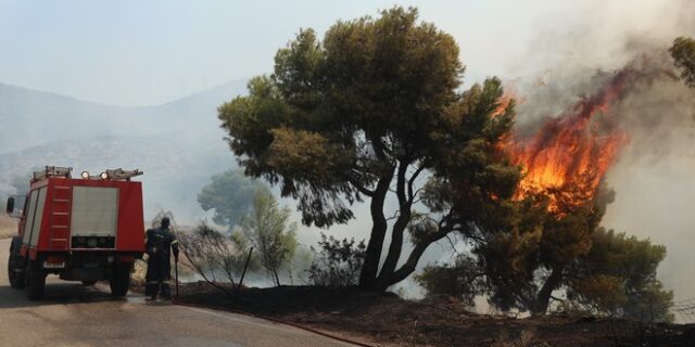 Φωτιές: Κλειστοί δρόμοι σε Αττική και Βοιωτία – Πού απαγορεύεται η κυκλοφορία