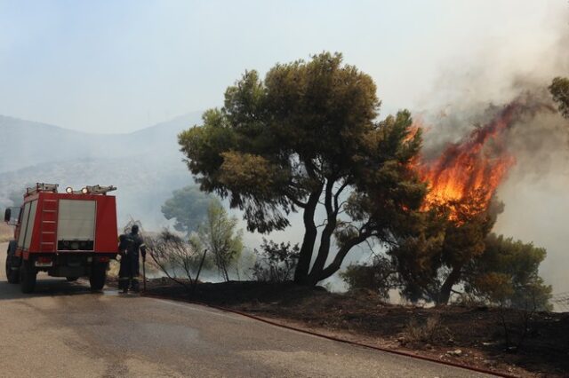 Φωτιές: Κλειστοί δρόμοι σε Αττική και Βοιωτία – Πού απαγορεύεται η κυκλοφορία
