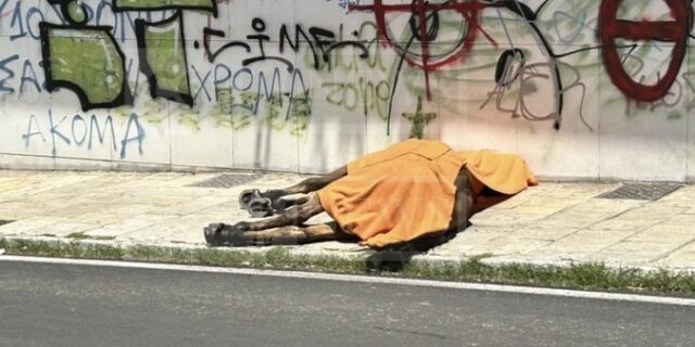 Κέρκυρα: Συνελήφθη ο ιδιοκτήτης του αλόγου – Διαμαρτυρία φιλοζωικών οργανώσεων στο νησί