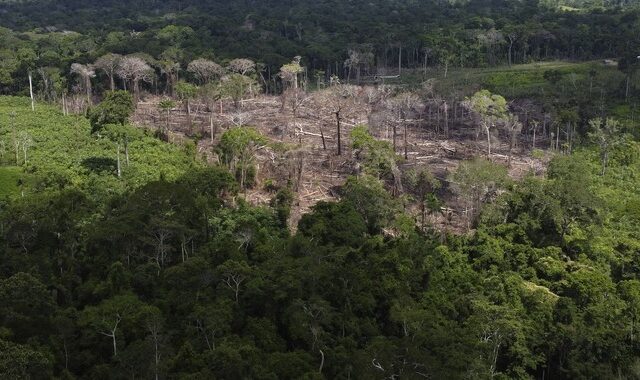 Αμαζόνιος: Έχει χαθεί έκταση όσο τρεις φορές η Νέα Υόρκη, επί Λούλα