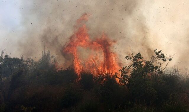 Φωτιά στο Πήλιο – Κινητοποιήθηκαν επίγειες και εναέριες δυνάμεις