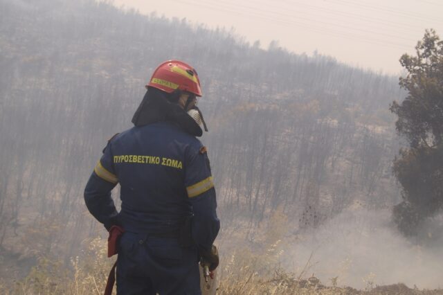Το NEWS 24/7 στις φωτιές: Καρέ καταστροφής και αγωνίας από το Κανδήλι Μάνδρας