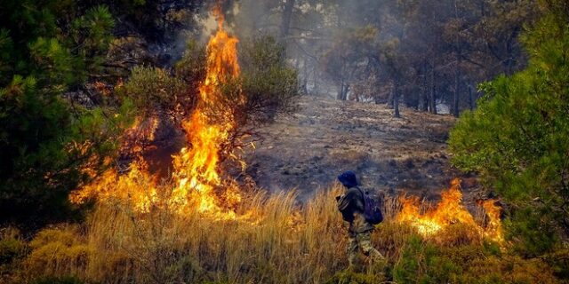 Μεγάλη φωτιά στη Μεσσηνία – Επιχειρούν ισχυρές δυνάμεις