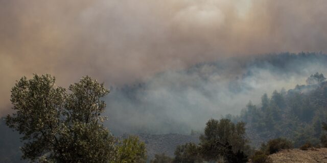 Φωτιά στην Κάρυστο: Ο κτηνοτρόφος κάηκε στην προσπάθεια να σώσει τα ζώα του
