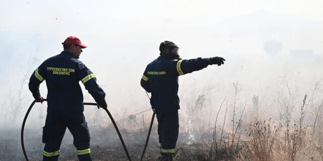 Πρέβεζα: Υπό έλεγχο η φωτιά στην Παντάνασσα