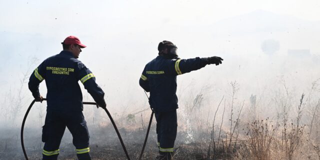 Υπό έλεγχο η φωτιά στην Κυνουρία Αρκαδίας – Παραμένουν στο σημείο δυνάμεις της Πυροσβεστικής