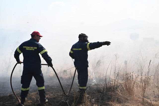 Υπό έλεγχο η φωτιά στην Κυνουρία Αρκαδίας – Παραμένουν στο σημείο δυνάμεις της Πυροσβεστικής