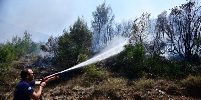 Χαλκιδική: Υπό μερικό έλεγχο τέθηκε η φωτιά στο ‘Αγιο Όρος
