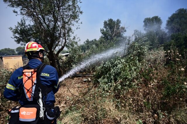 Μεσσηνία: Υπό μερικό έλεγχο η φωτιά στη Χρυσοκελλαριά