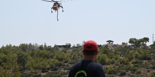 Εύβοια: Φωτιά σε δασική έκταση στην Αγία Μαρίνα