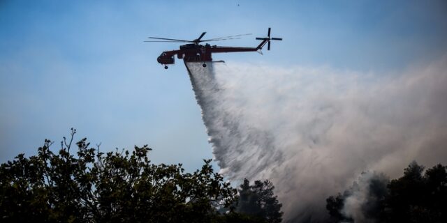 Εύβοια: Υψηλός κίνδυνος πυρκαγιάς και σήμερα – Σε ύφεση το μέτωπο στο Αλιβέρι