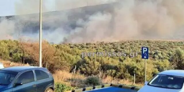 Φωτιά στον Πρόδρομο Θηβών: Δύο τα πύρινα μέτωπα – Ενισχύθηκαν οι δυνάμεις