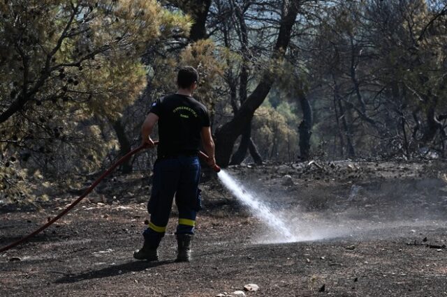 Μεσσηνία: Υπό έλεγχο φωτιά στην Κορώνη – Σε επιφυλακή η πυροσβεστική