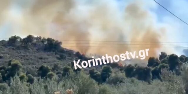 Φωτιά σε δασική έκταση στο Μαψό Κορινθίας