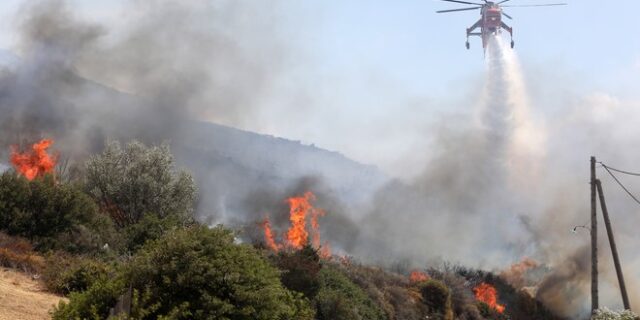 Φωτιά στο Αλιβέρι: Απογειώθηκαν εναέρια μέσα – Συνελήφθη 75χρονος
