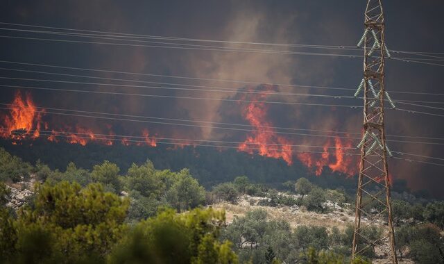 Φωτιές: Απολογείται το Σάββατο ο 30χρονος που ομολόγησε τους εμπρησμούς στη Μεσσηνία