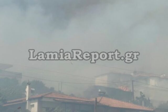 Φωτιά στη Λαμία: Απειλούνται σπίτια – Επιχειρούν επίγειες και εναέριες δυνάμεις