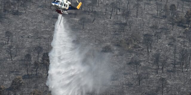WWF για φωτιές: Οκτώ προτάσεις για την πρόληψη και τον στρατηγικό σχεδιασμό