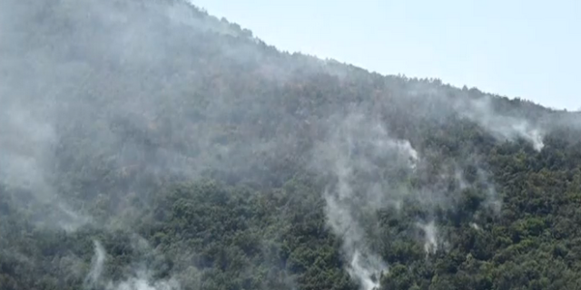 Φωτιά στην Κέρκυρα: Συνεχείς αναζωπυρώσεις – Επιχειρούν και εναέρια μέσα