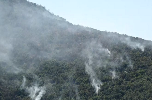 Φωτιά στην Κέρκυρα: Συνεχείς αναζωπυρώσεις – Επιχειρούν και εναέρια μέσα