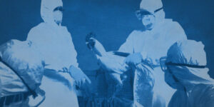 Η3Ν8: 5 πράγματα που γνωρίζουμε για την «γρίπη των πτηνών»