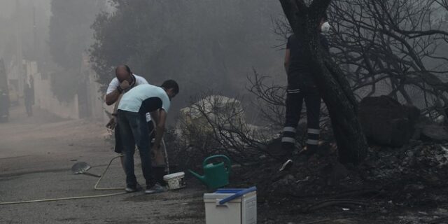 Φωτιά στη Νέα Ζωή: Καταγγελίες για απουσία των Πυροσβεστικών Δυνάμεων – Κάτοικοι πάλευαν μόνοι με τις φλόγες