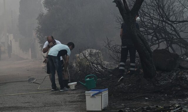 Φωτιά στη Νέα Ζωή: Καταγγελίες για απουσία των Πυροσβεστικών Δυνάμεων – Κάτοικοι πάλευαν μόνοι με τις φλόγες