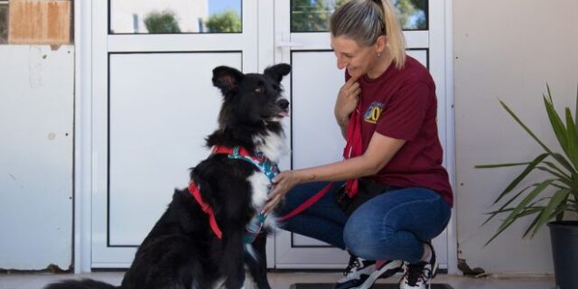 Η Royal Canin Hellas ενώνει τις δυνάμεις της με τη “Save a Greek Stray” και στηρίζει το πρόγραμμα «Ιαματική Ζωοφιλία»