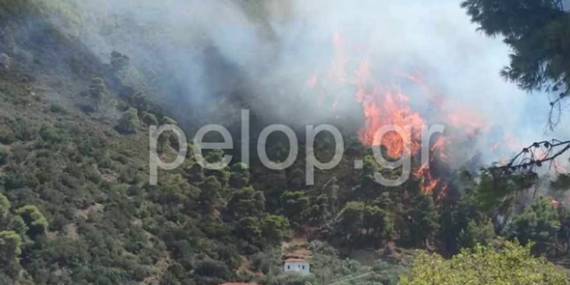 Αχαΐα: Φωτιά στο Δερβενάκι Αιγιαλείας – Πληροφορίες ότι κινδυνεύουν σπίτια