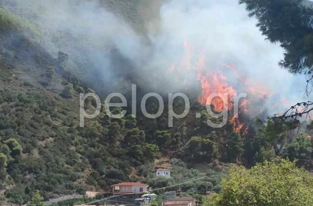 Αχαΐα: Φωτιά στο Δερβενάκι Αιγιαλείας – Πληροφορίες ότι κινδυνεύουν σπίτια