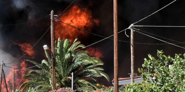 Μεσσηνία: Προφυλακίστηκε ο 30χρονος είχε ομολογήσει την πρόκληση πυρκαγιών