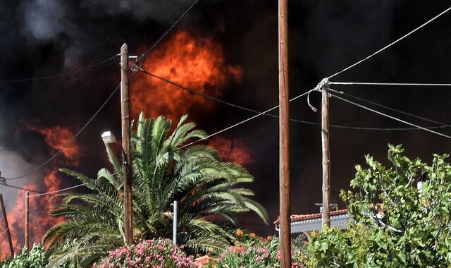Μεσσηνία: Προφυλακίστηκε ο 30χρονος είχε ομολογήσει την πρόκληση πυρκαγιών