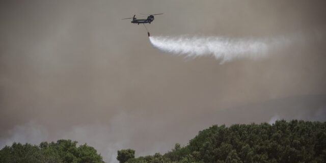 Φωτιά τώρα στα Γιαννιτσά