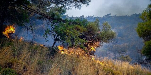 Κέρκυρα: Απαγόρευση κυκλοφορίας τη Δευτέρα σε περιοχές υψηλής επικινδυνότητας για πυρκαγιά